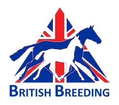 2021 British Breeding Stallion Event will go ahead - Virtually